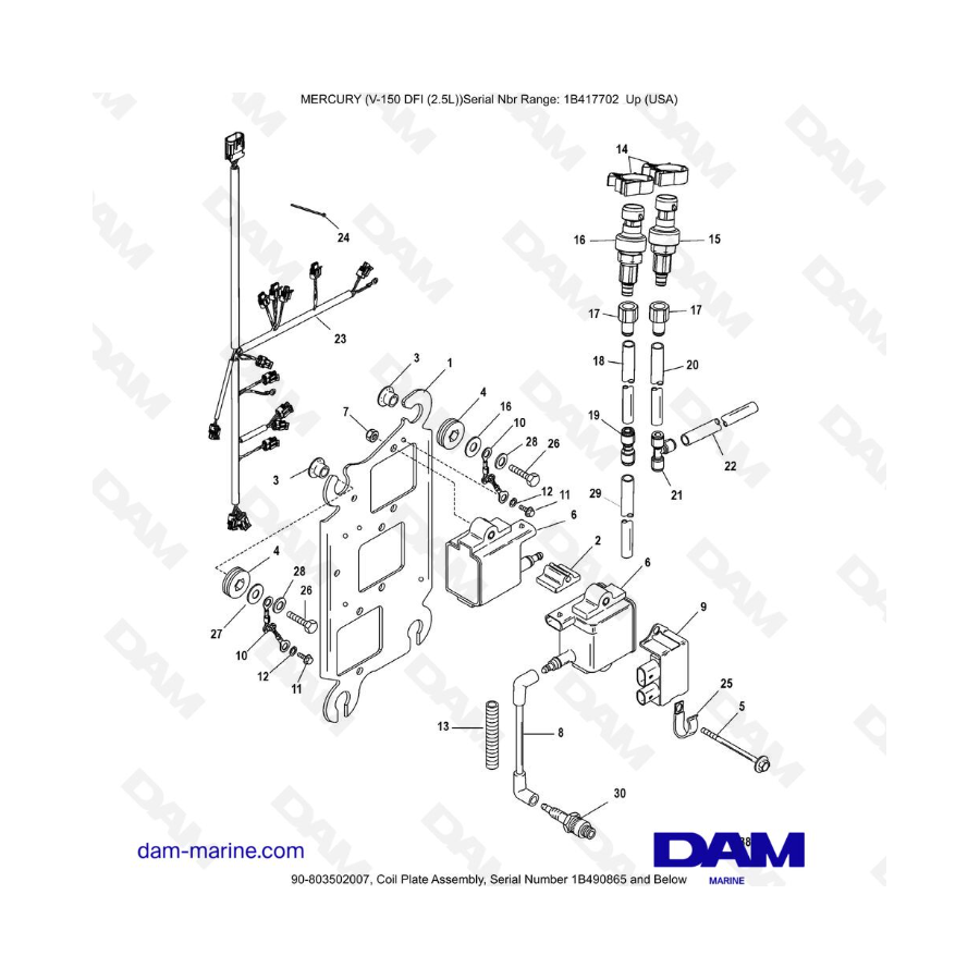 Mercury 150 DFI 2.5L - Coil Plate Assembly, Serial Number 1B490865 and Below