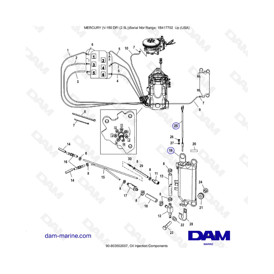 Mercury 150 DFI 2.5L - Componentes de inyección de aceite