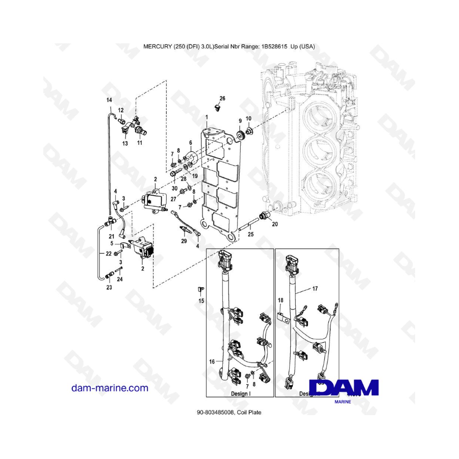 Mercury 250 DFI 3.0L - Coil Plate