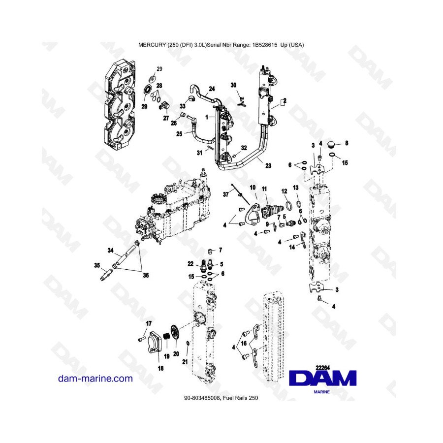 Mercury 250 DFI 3.0L - Rieles de combustible 250