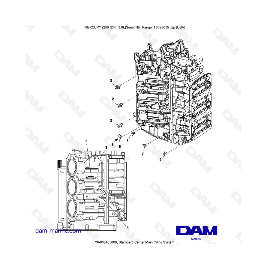 Mercury 250 DFI 3.0L - Sistema de lubricación principal central de estribor