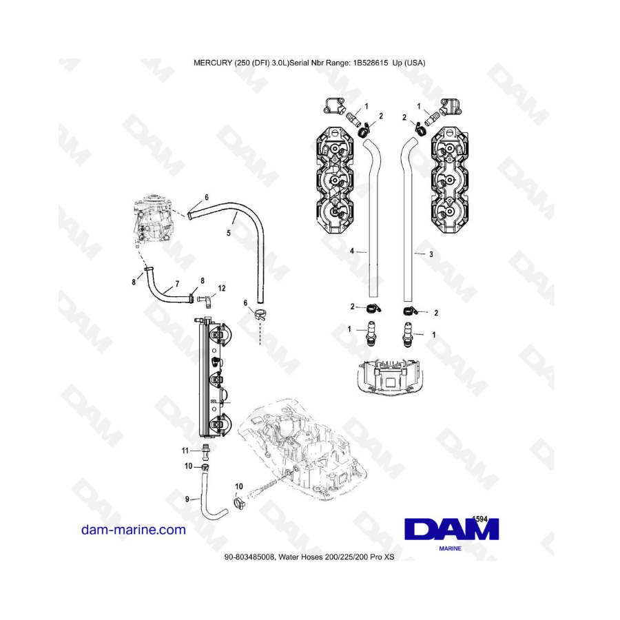 Mercury 250 DFI 3.0L - Water Hoses 200/225/200 Pro XS