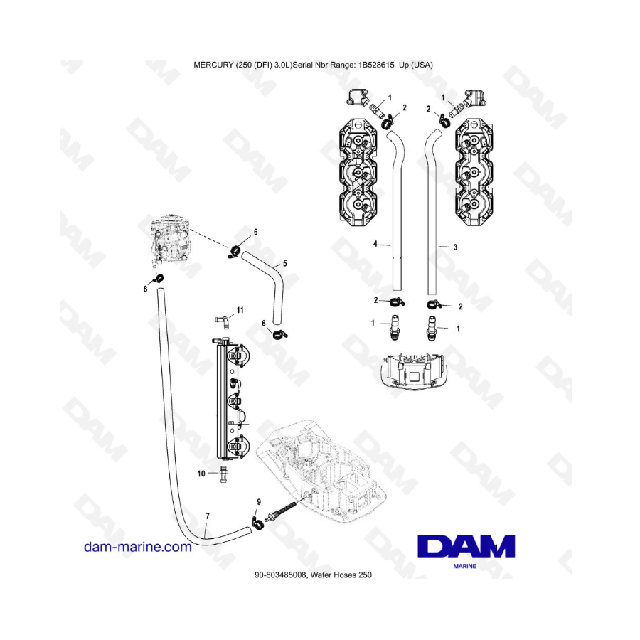 Mercury 250 DFI 3.0L - Mangueras de agua 250