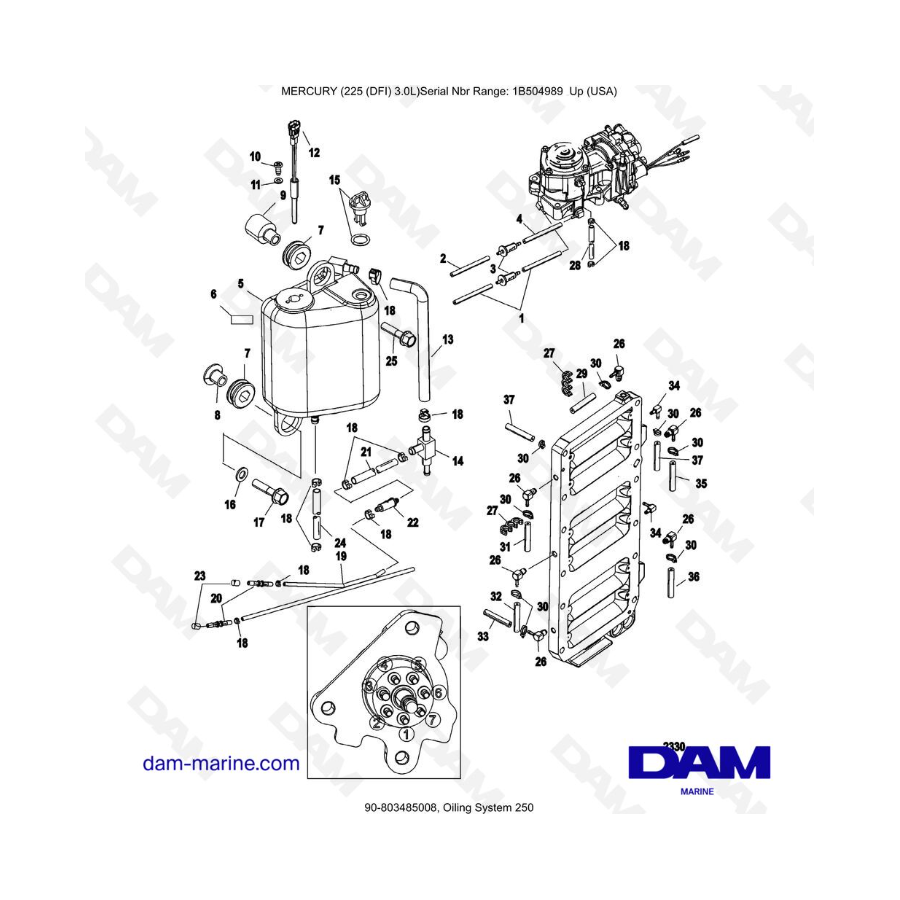 Mercury 225 DFI 3.0L -  Oiling System 250