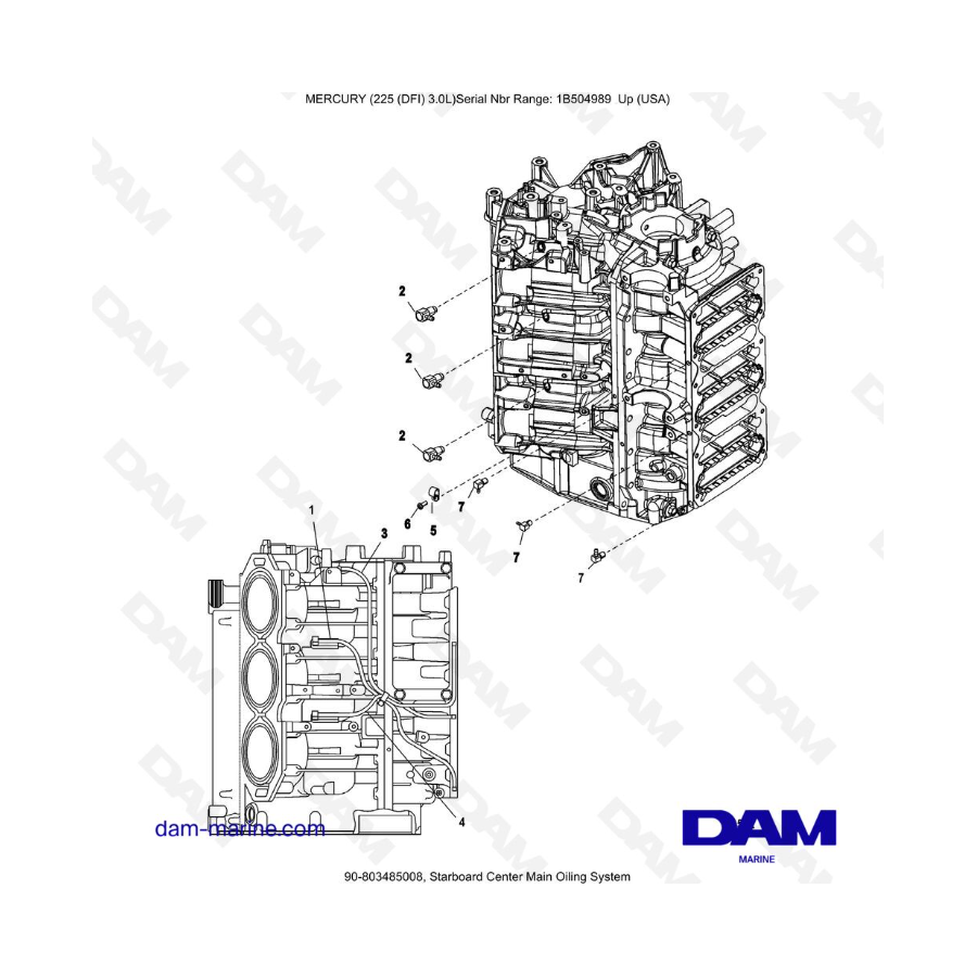 Mercury 225 DFI 3.0L - Starboard Center Main Oiling System