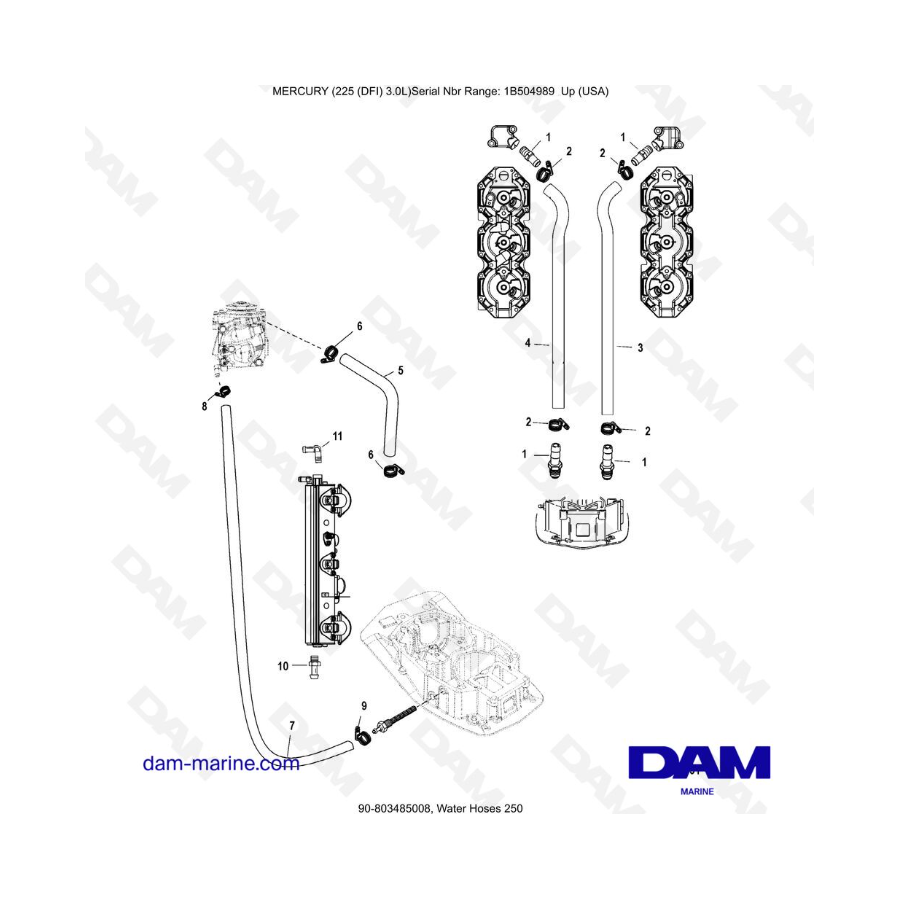 Mercury 225 DFI 3.0L - Mangueras de agua 250