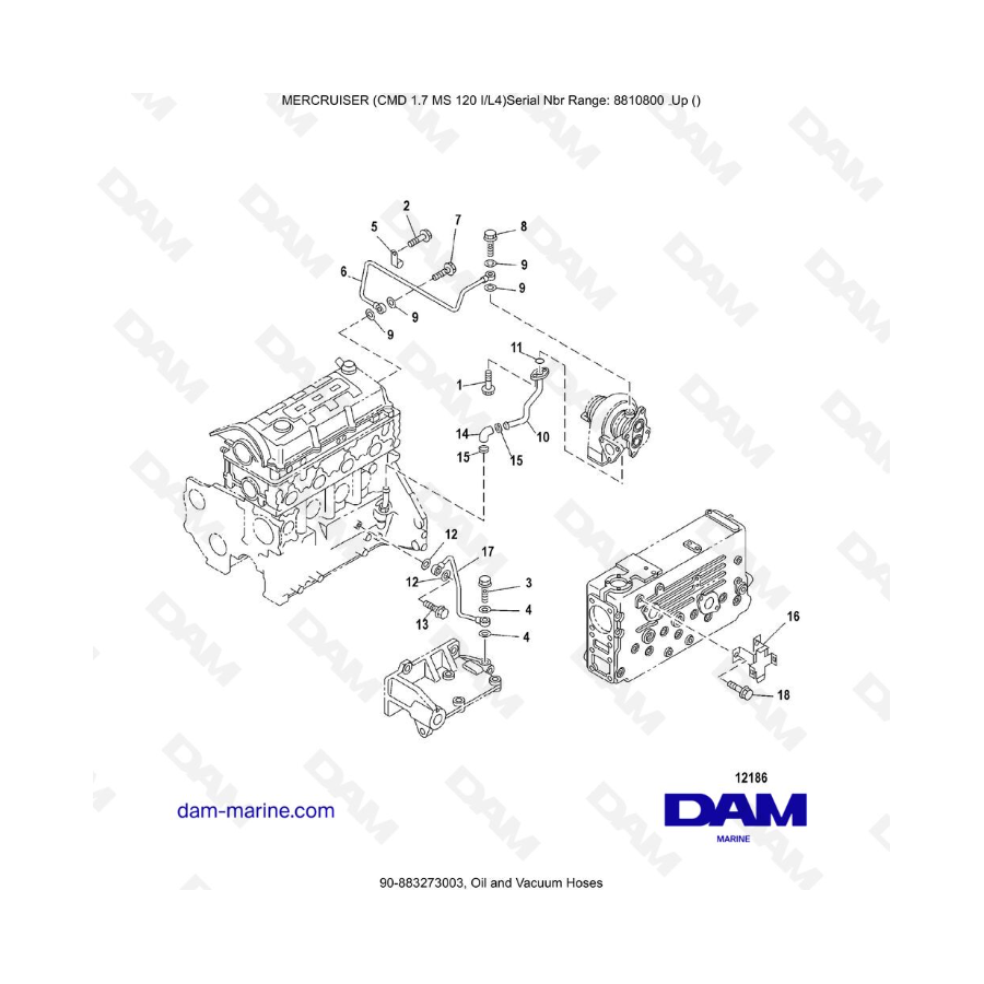 Mercruiser CMD 1.7L MS - Oil and Vacuum Hoses