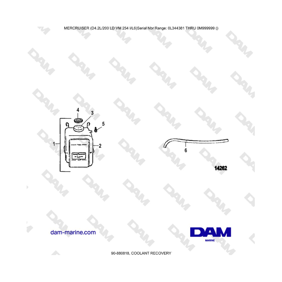 Mercruiser 4.2L 200 LD - COOLANT RECOVERY