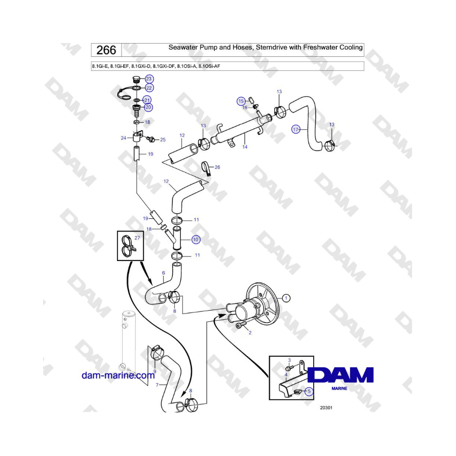 Volvo Penta 8.1L OSI - Seawater Pump and Hoses, Sterndrive with Freshwater Cooling