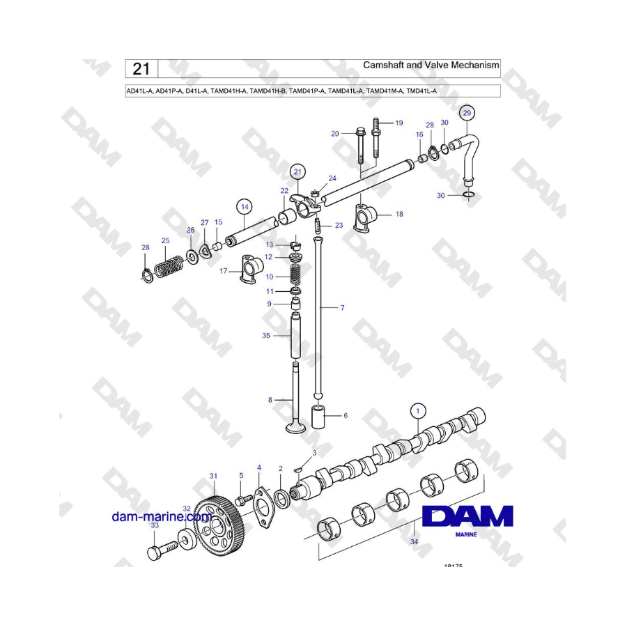 Volvo Penta AD41L-A/AD41P-A/D41L-A/TAMD41H-A/TAMD41H-B/TAMD41P-A/TAMD41L-A/TAMD41M-A/TMD41L-A - Árbol de levas y mecanismo de vá