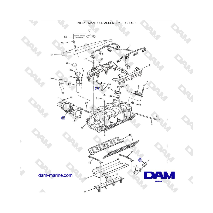 Crusader MP 8.1L (2006 MY) - INTAKE MANIFOLD ASSEMBLY