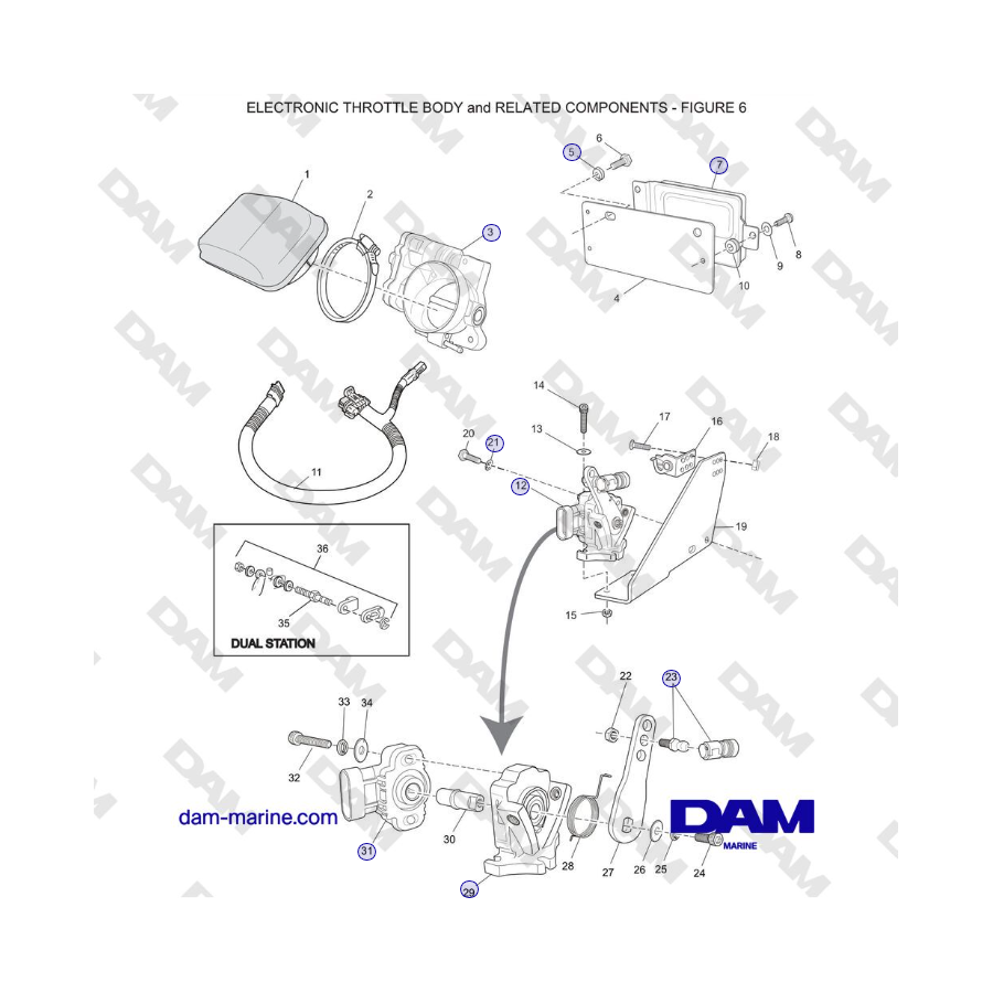 Crusader MP 8.1L (2006 MI) - CUERPO DE MARIPOSA ELECTRÓNICA y COMPONENTES RELACIONADOS