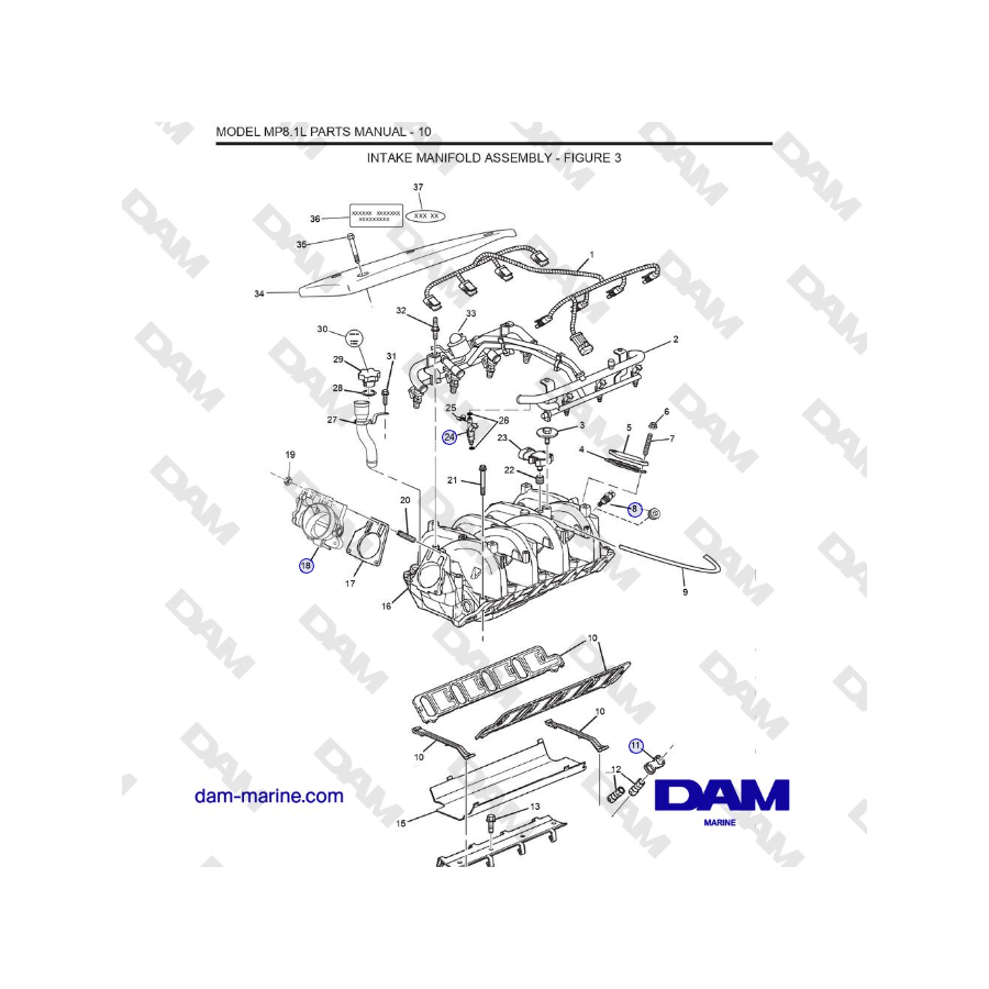 Crusader MP 8.1L (SN 670001) - CONJUNTO DEL COLECTOR DE ADMISIÓN