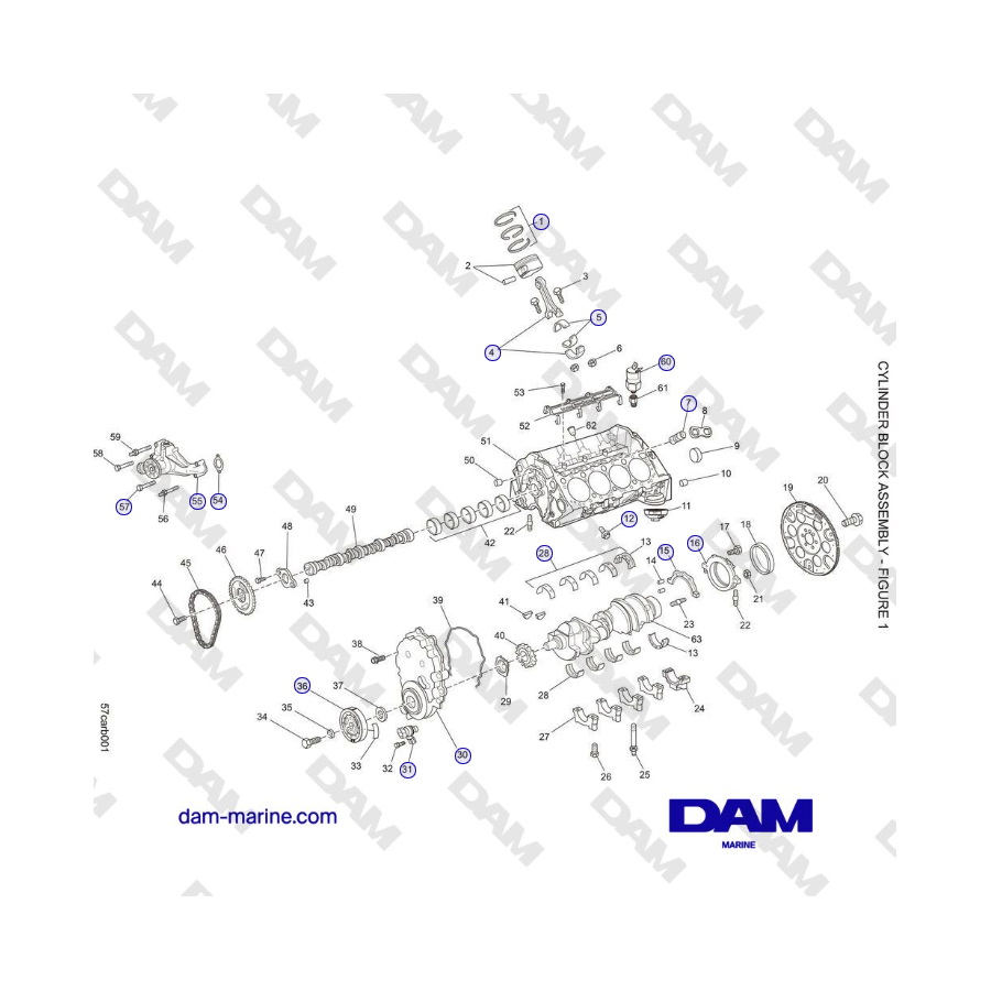 Crusader 5.7L Carburetor Classic Series (2006-2007 MY) - CONJUNTO DE BLOQUE DE CILINDROS