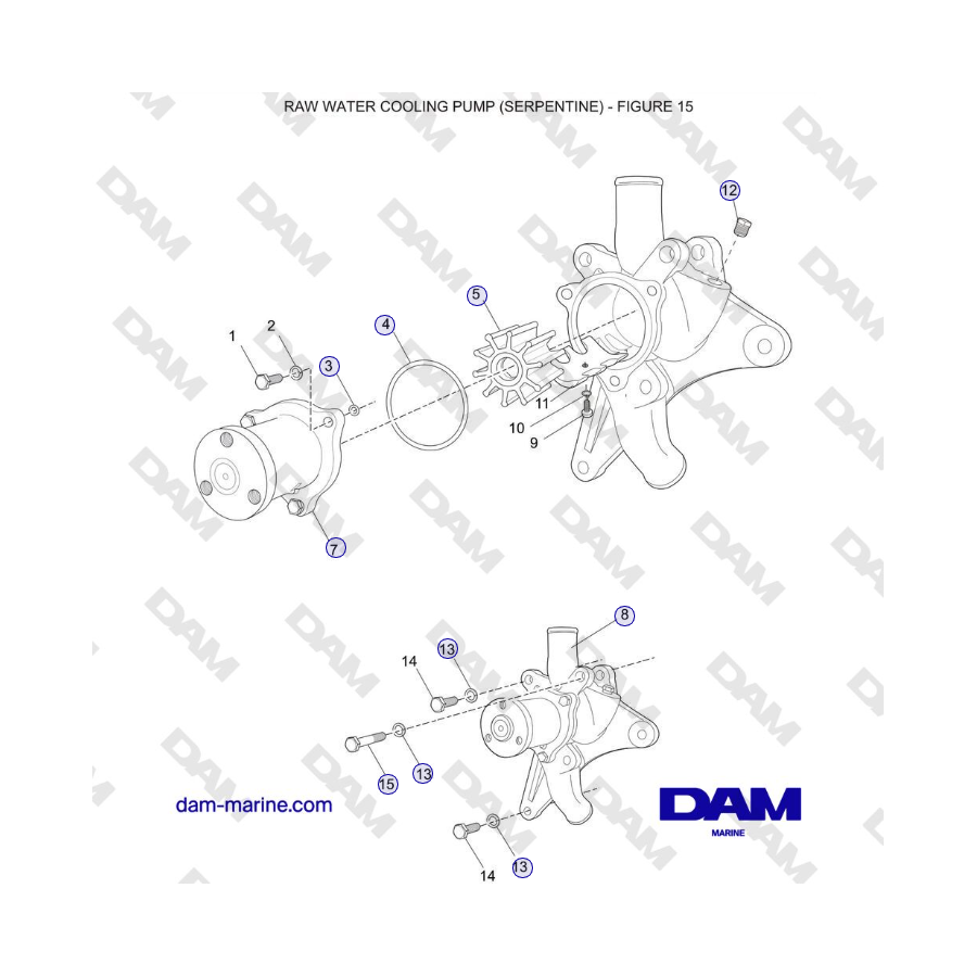 Crusader 5.7L Carburetor Classic Series (2006-2007 MY) - BOMBA DE REFRIGERACIÓN DE AGUA CRUDA (SERPENTINE)