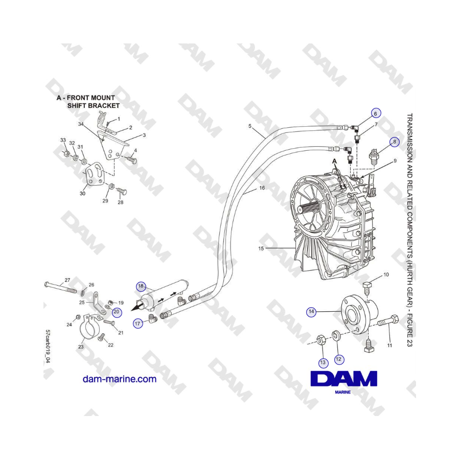 Crusader 5.7L Carburetor Classic Series (2006-2007 MY) - TRANSMISIÓN Y COMPONENTES RELACIONADOS (HURTH GEAR)