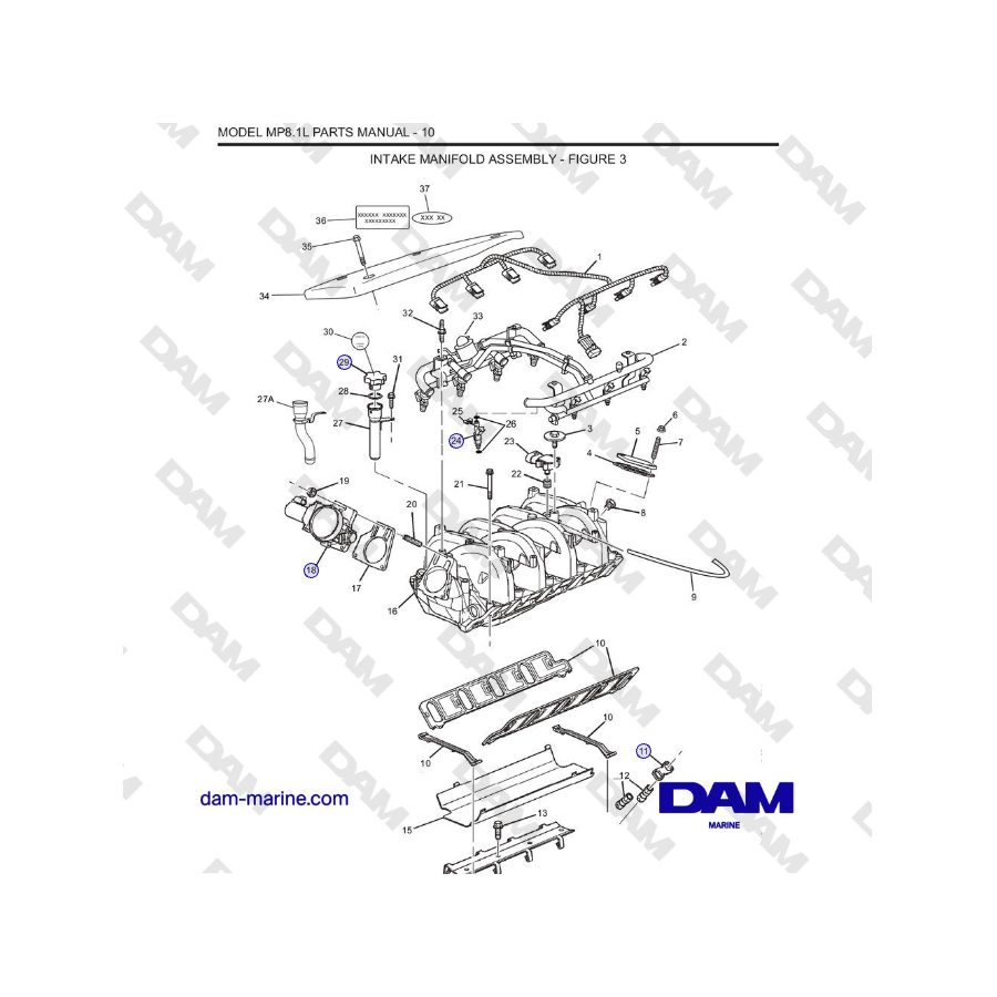 Crusader MP8.1L 2001 - 2005 MY - CONJUNTO DEL COLECTOR DE ADMISIÓN