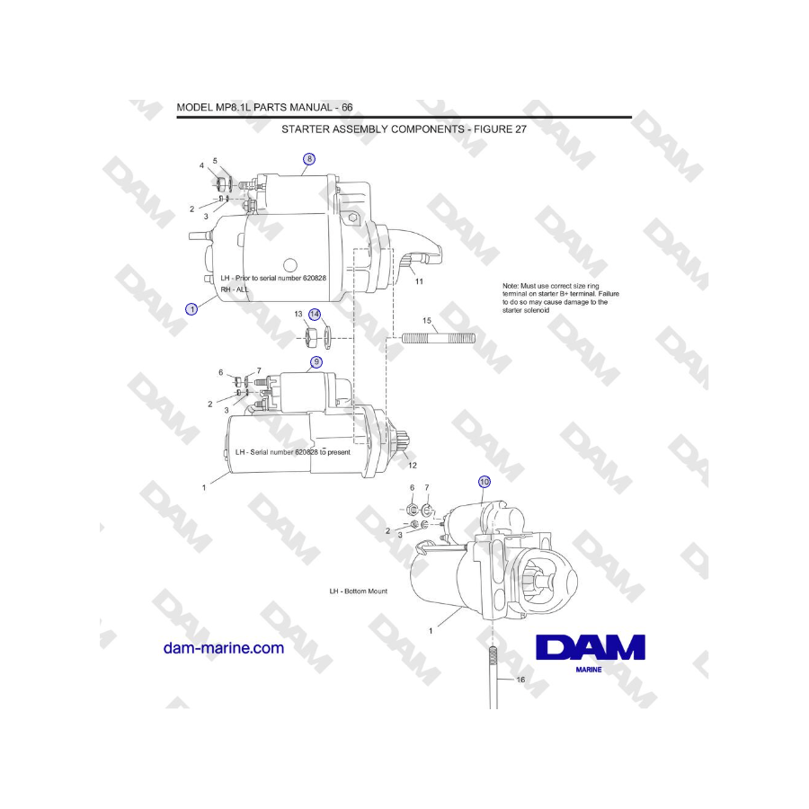 Crusader MP8.1L 2001 - 2005 MY - COMPONENTES DEL CONJUNTO DEL ARRANQUE