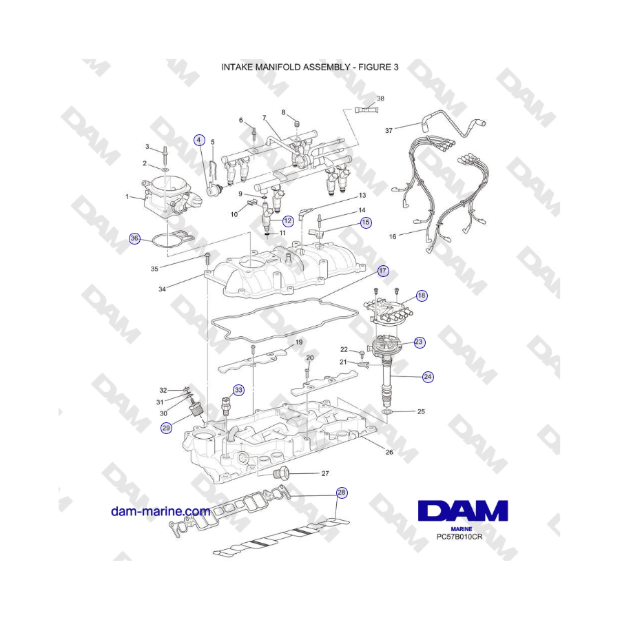 Crusader 5.0L / 5.7L 2002-2005 MY - INTAKE MANIFOLD ASSEMBLY