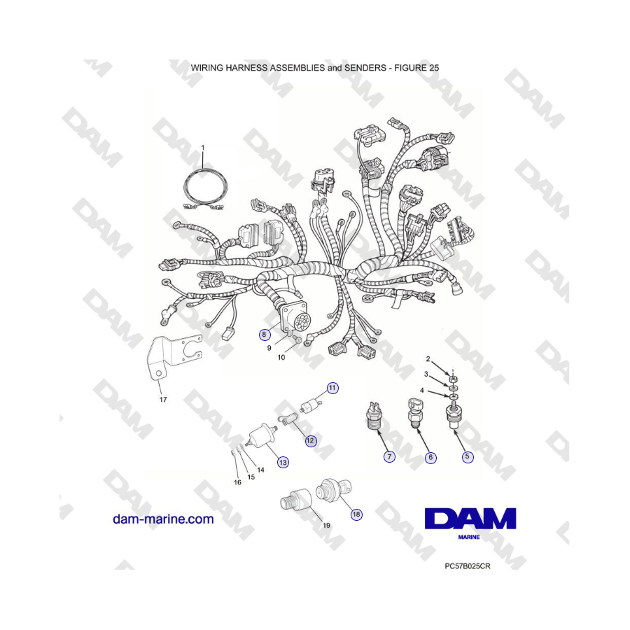 Crusader 5.0L / 5.7L 2002-2005 MY - WIRING HARNESS ASSEMBLIES and SENDERS