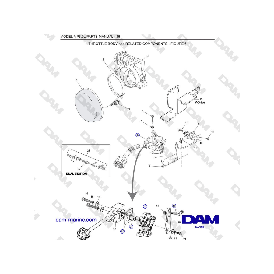 Crusader MP6.0L SN 670001 - CUERPO DEL ACELERADOR y COMPONENTES RELACIONADOS