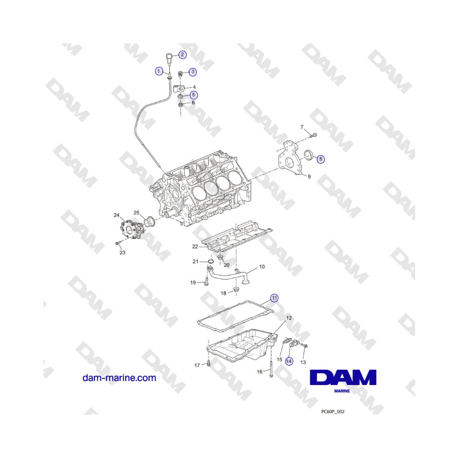 Crusader MP6.0L 2004-2005 MY - OIL PAN and OIL PUMP ASSEMBLY