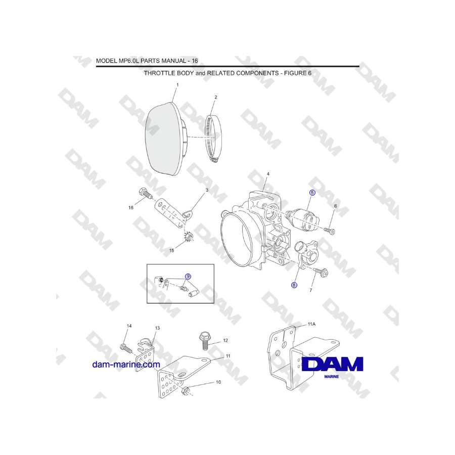 Crusader MP6.0L 2006 MY - THROTTLE BODY and RELATED COMPONENTS