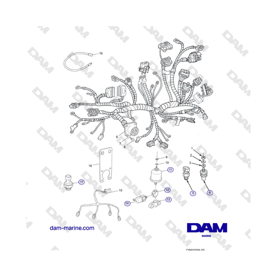 Crusader MP6.0L 2004-2005 MY - CONJUNTOS DE MAZO DE CABLES y REMITENTES