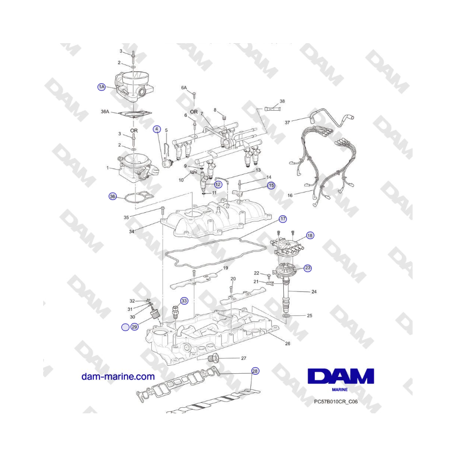 Crusader MP5.0/5.7L MODELO 2006 - CONJUNTO DEL COLECTOR DE ADMISIÓN