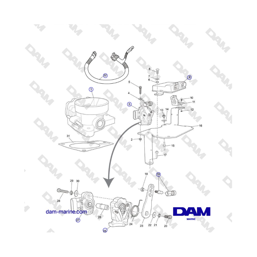 Crusader MP5.0 / 5.7L 2006 MY - THROTTLE BODY and RELATED COMPONENTS