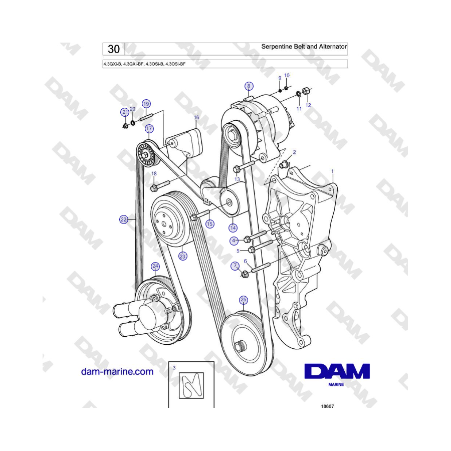 Volvo Penta 4.3L GXI-B - Correa serpentina y alternador