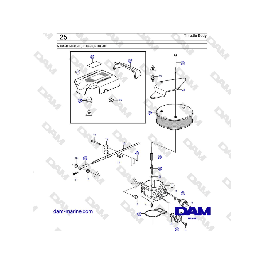 Volvo Penta 5.0GXi-C, 5.0GXi-CF, 5.0GXi-D, 5.0GXi-DF - Cuerpo de mariposa