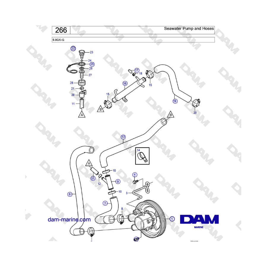 Volvo Penta 5.0L GXI-G - Seawater Pump and Hoses