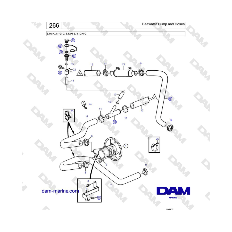 Volvo Penta 8.1Gi-C, 8.1Gi-D, 8.1GXi-B, 8.1GXi-C - Seawater Pump and Hoses