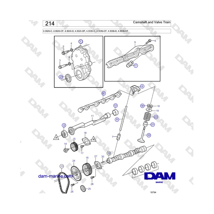 Volvo Penta 4.3GXi-C, 4.3GXi-CF, 4.3GXi-D, 4.3GXi-DF - Camshaft and Valve Train