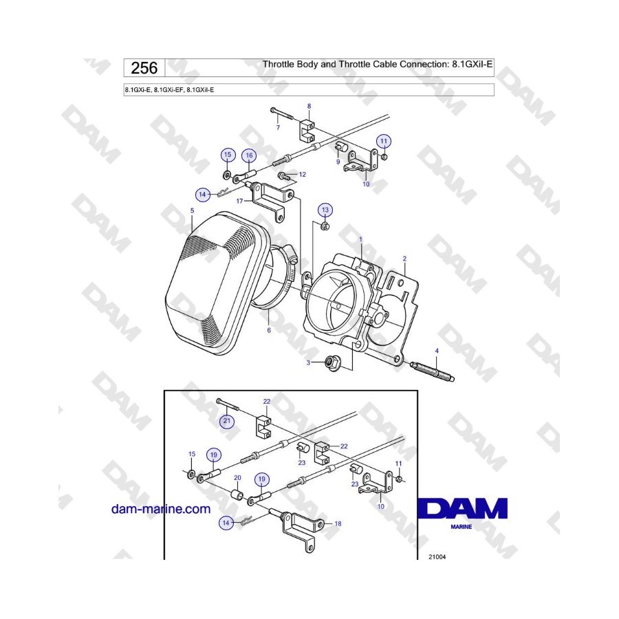 Volvo Penta 8.1GXi-E, 8.1GXi-EF, 8.1GXiI-E - Throttle Body and Throttle Cable Connection: 8.1GXiI-E 