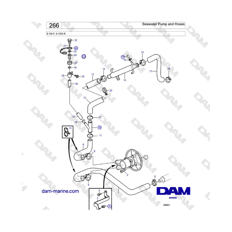 Volvo Penta 8.1Gi-F, 8.1GXi-E - Seawater Pump and Hoses 