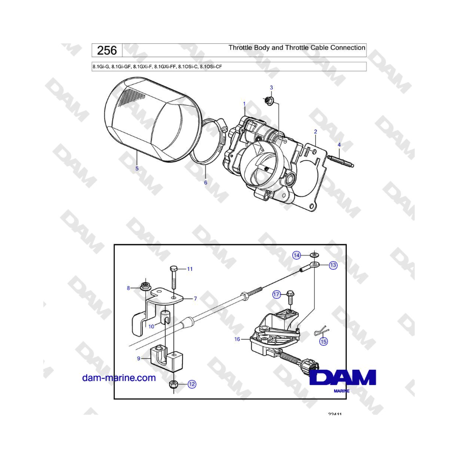 Volvo Penta 8.1Gi-G, 8.1Gi-GF, 8.1GXi-F, 8.1GXi-FF - Throttle Body and Throttle Cable Connection