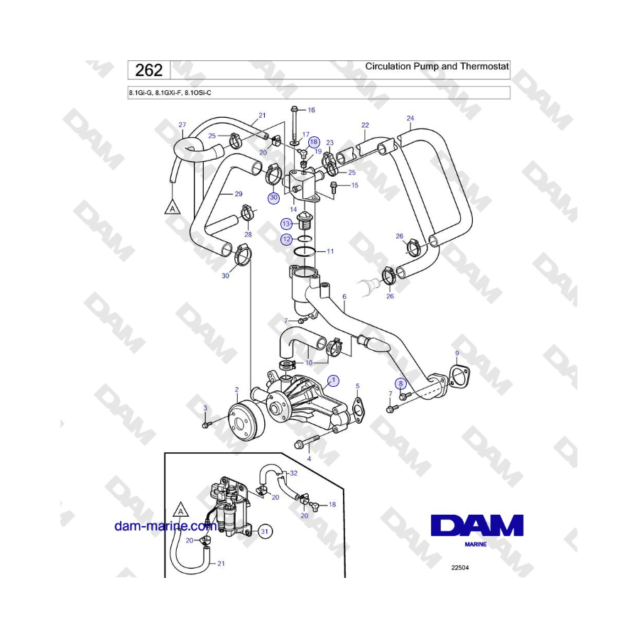 Volvo Penta 8.1Gi-G, 8.1GXi-F, 8.1OSi-C - Circulation Pump and Thermostat 