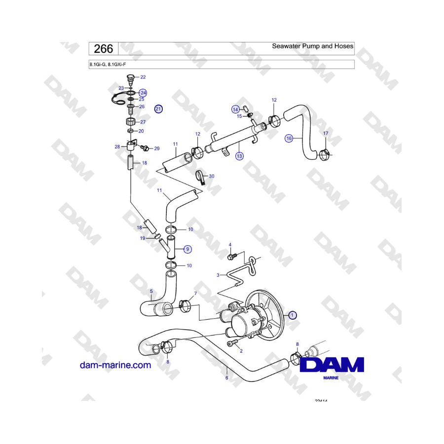 Volvo Penta 8.1Gi-G, 8.1GXi-F - Seawater Pump And Hoses