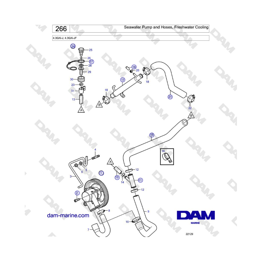 Volvo Penta 4.3GXi-J, 4.3GXi-JF - Seawater Pump and Hoses, Freshwater Cooling 