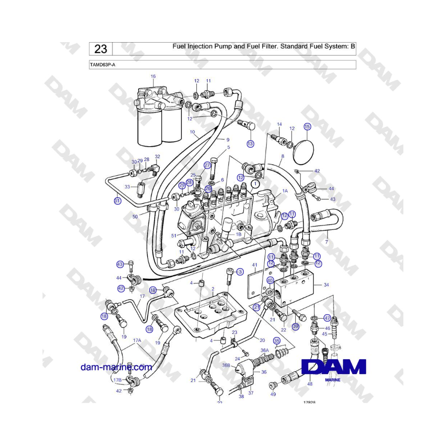 Volvo Penta TAMD63P-A - Fuel Injection Pump and Fuel Filter. Standard Fuel System: B 