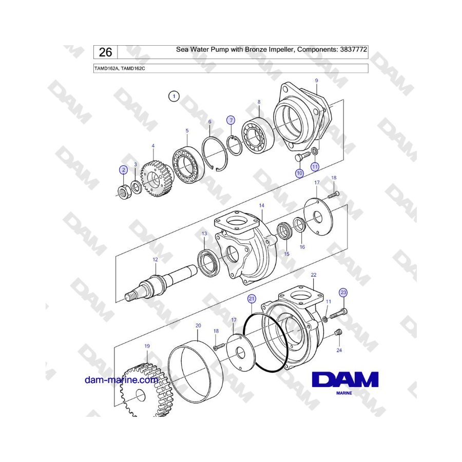 Volvo Penta TAMD162A, TAMD162C - Sea Water Pump with Bronze Impeller, Components: 3837772