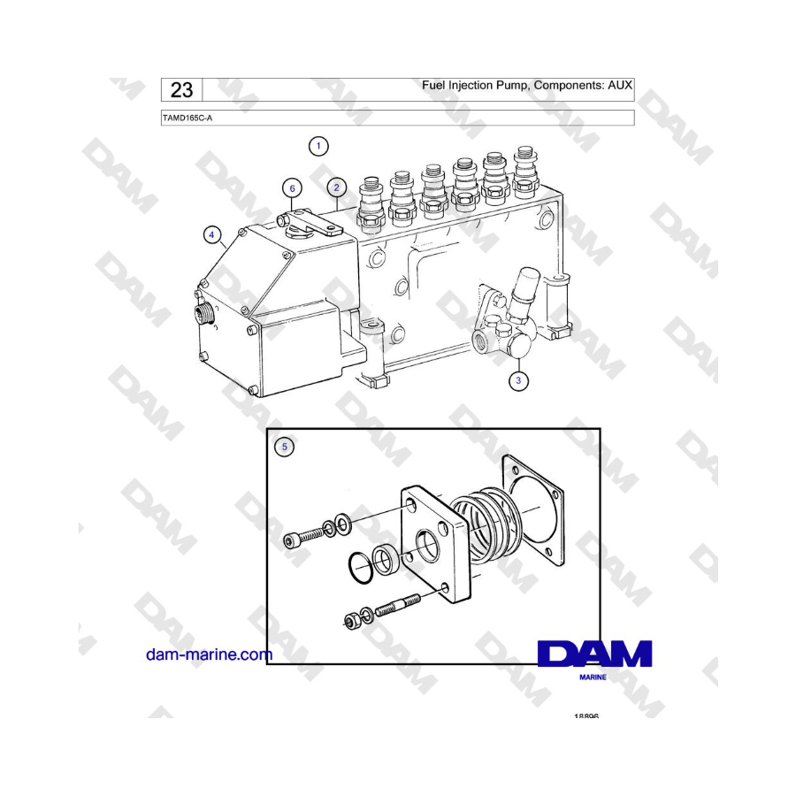 Volvo Penta TAMD165C-A - Fuel Injection Pump, Components: AUX 