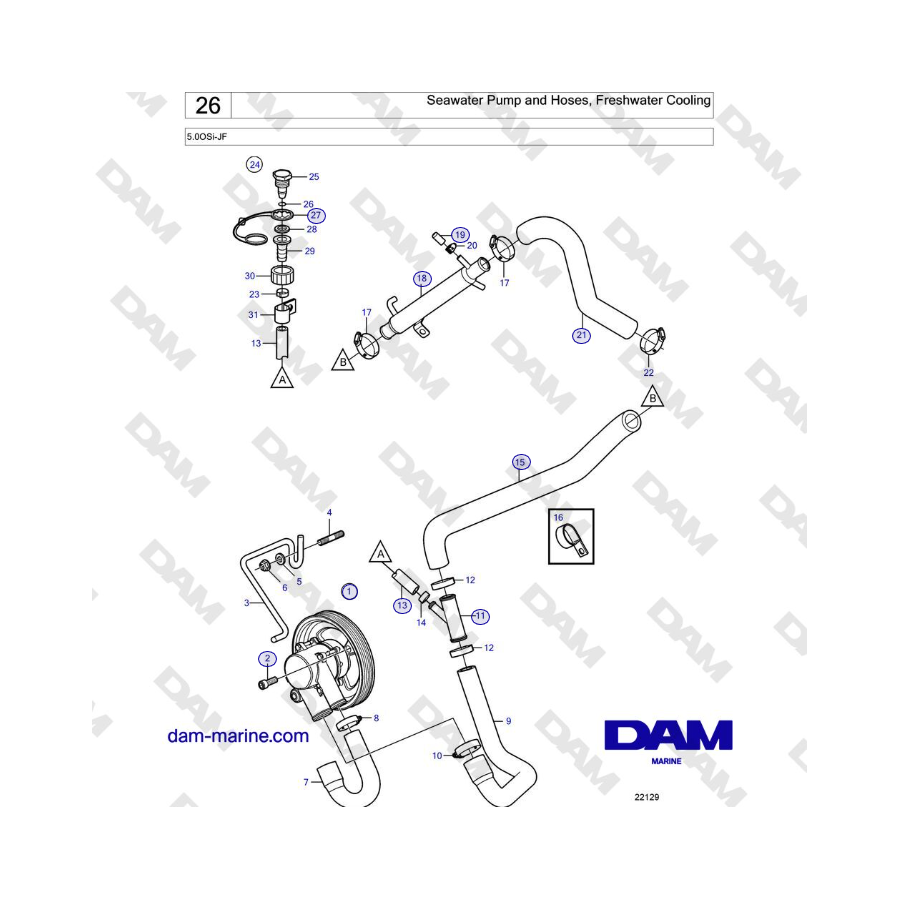 Volvo Penta 5.0OSi-JF - Seawater Pump and Hoses, Freshwater Cooling 