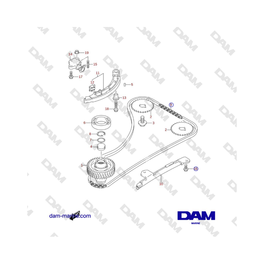 Suzuki DF115 - TIMING CHAIN