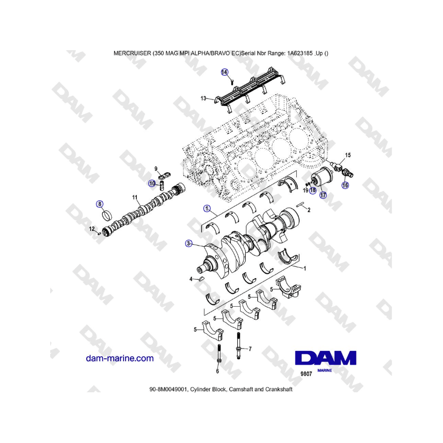 MERCRUISER 350 MAG MPI EC - Cylinder Block, Camshaft and Crankshaft