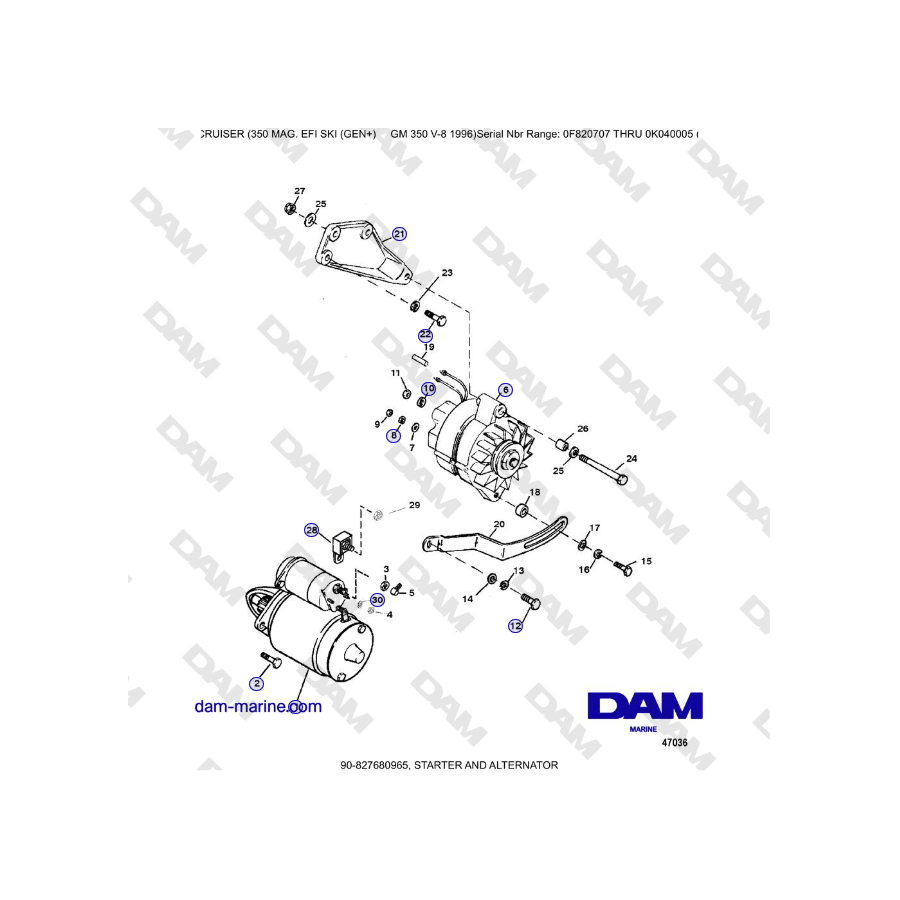 Mercruiser 350 MAG EFI (SKI) - STARTER AND ALTERNATOR