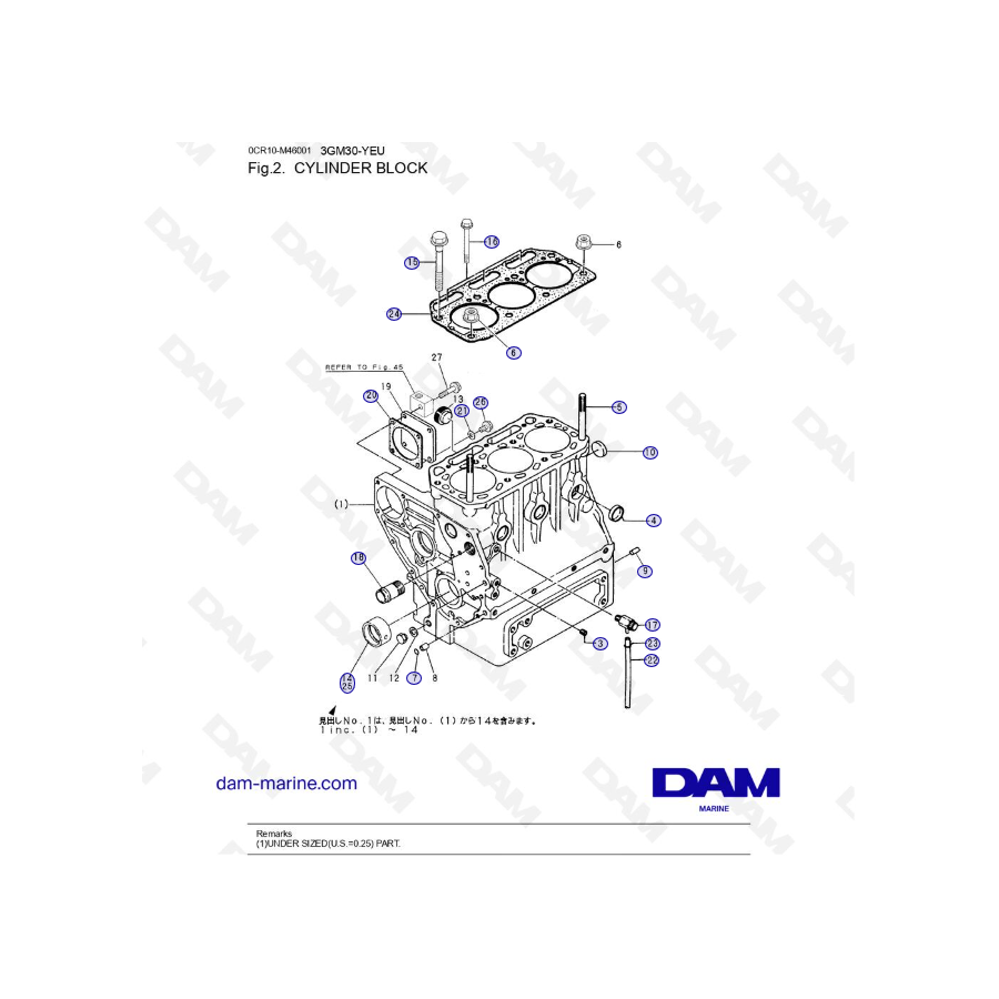 Yanmar 3GM30FC-YEU - CYLINDER BLOCK