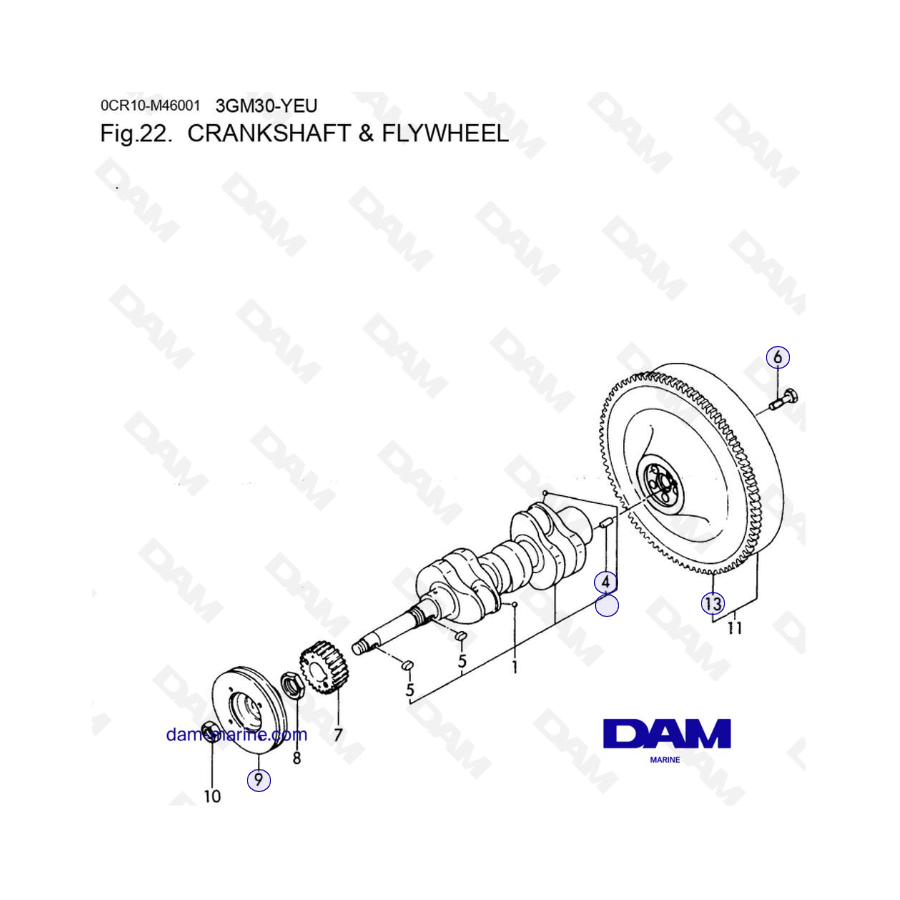 Yanmar 3GM30FC-YEU - CRANKSHAFT & FLYWHEEL